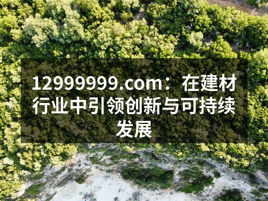 12999999.com新产品展览